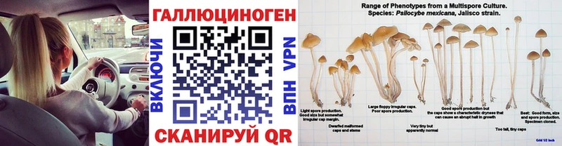 Купить где  Асино  Галлюциногенные грибы мухоморы 